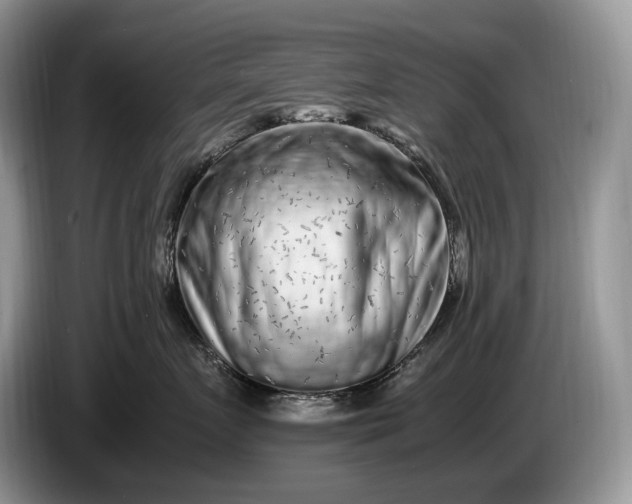 X0000086280719200704122047