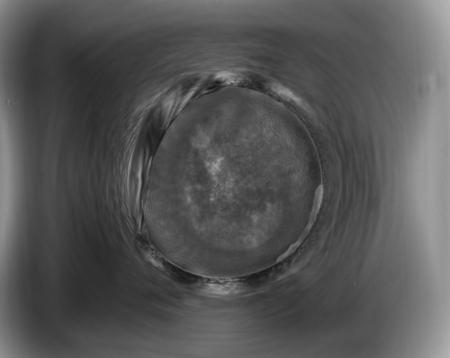 X0000086280720200704122047