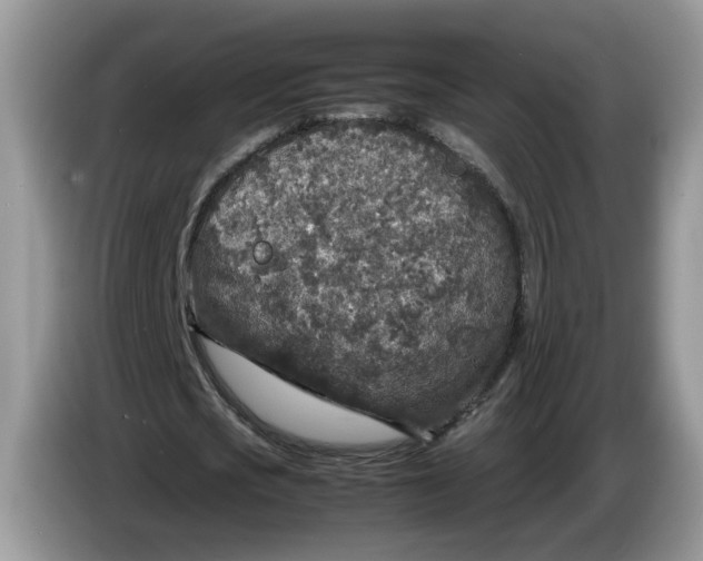 X0000086280721200704122047