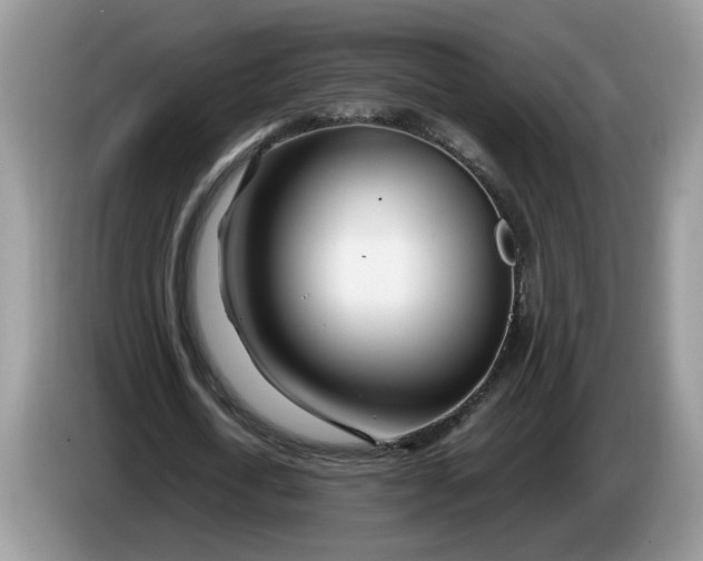 X0000086280722200704122047