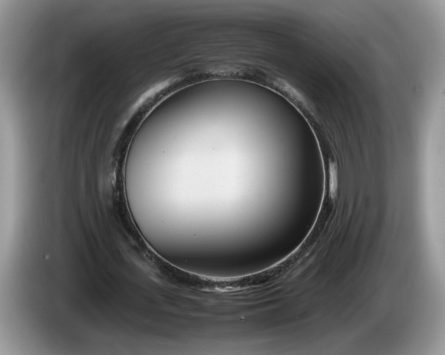 X0000086280723200704122047