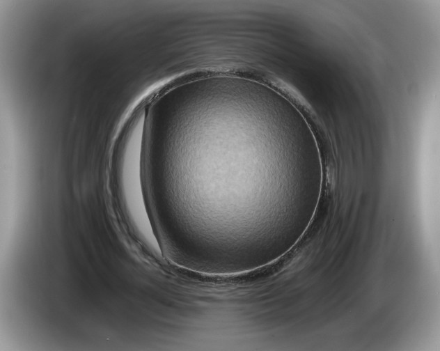 X0000086280724200704122047