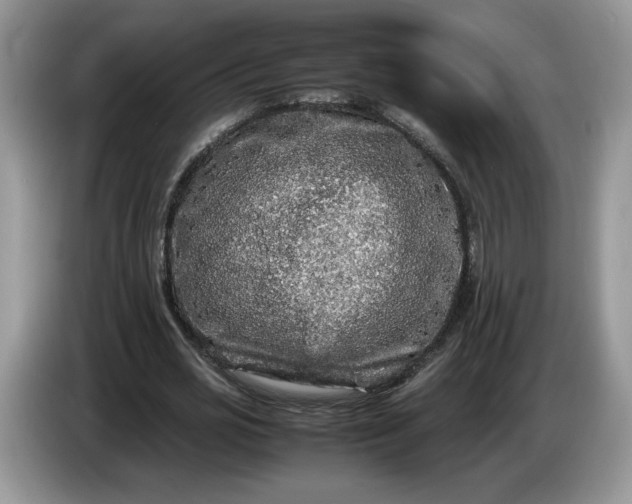 X0000086280725200704122047