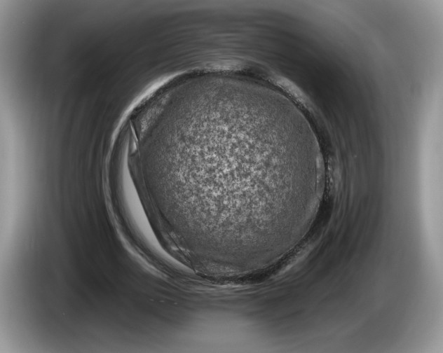 X0000086280726200704122047