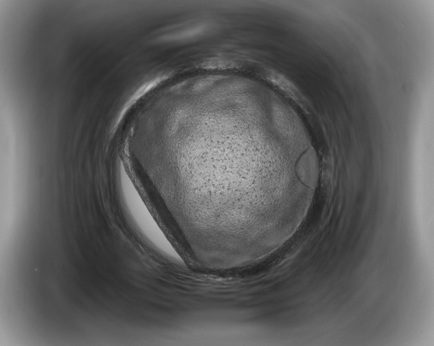 X0000086280727200704122047