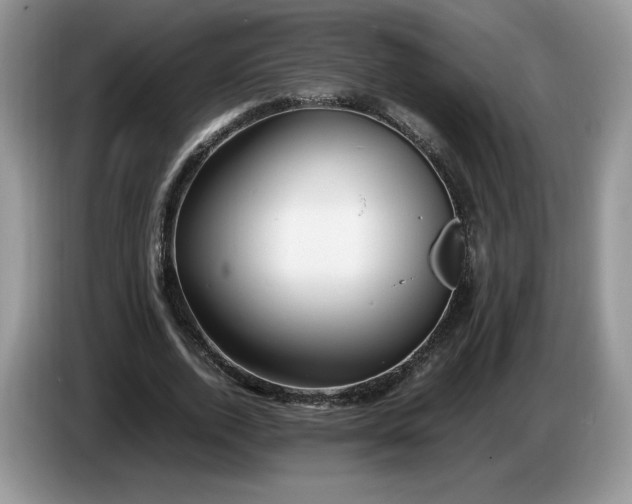 X0000086280728200704122047