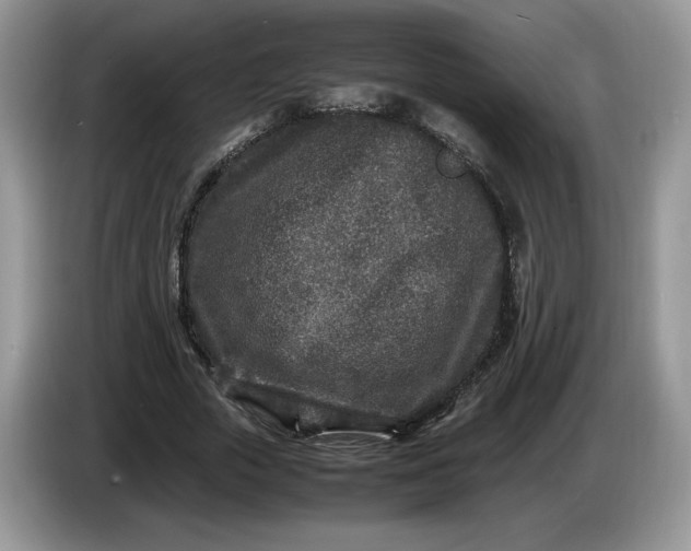 X0000086280729200704122047