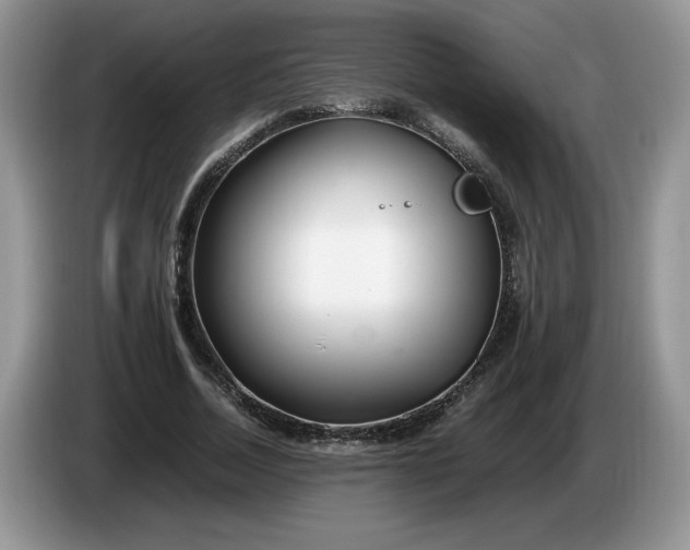 X0000086280730200704122047