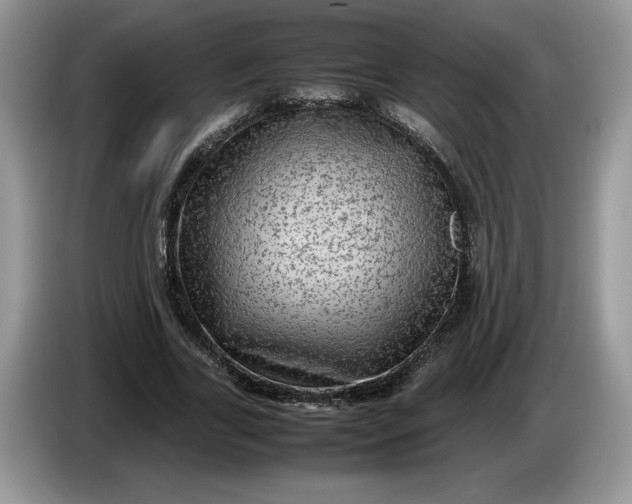 X0000086280731200704122047