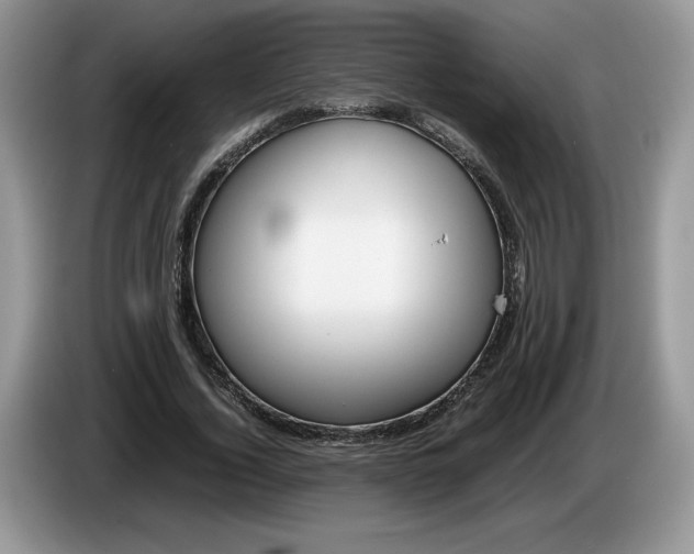 X0000086280732200704122047