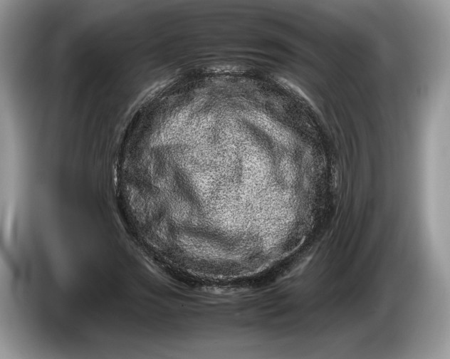 X0000086280733200704122047