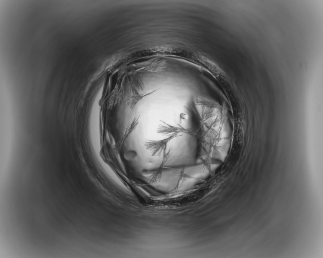 X0000086280734200704122047