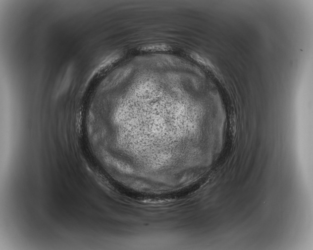 X0000086280735200704122047