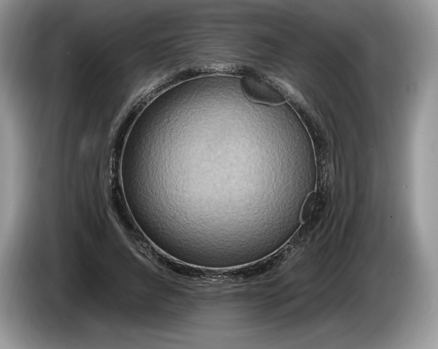 X0000086280736200704122047