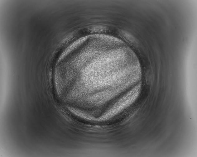 X0000086280737200704122047