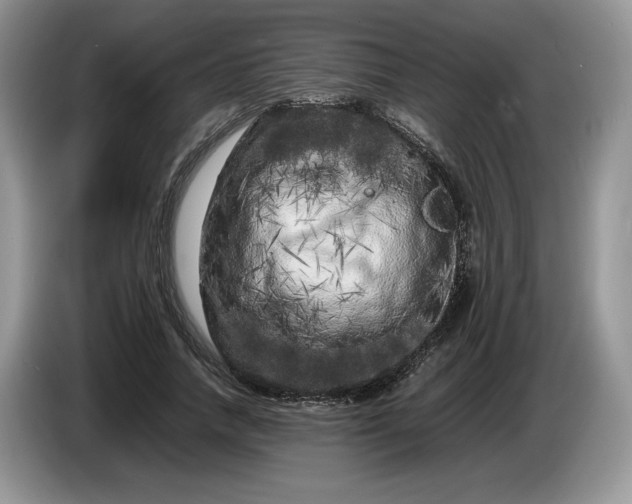 X0000086280738200704122047