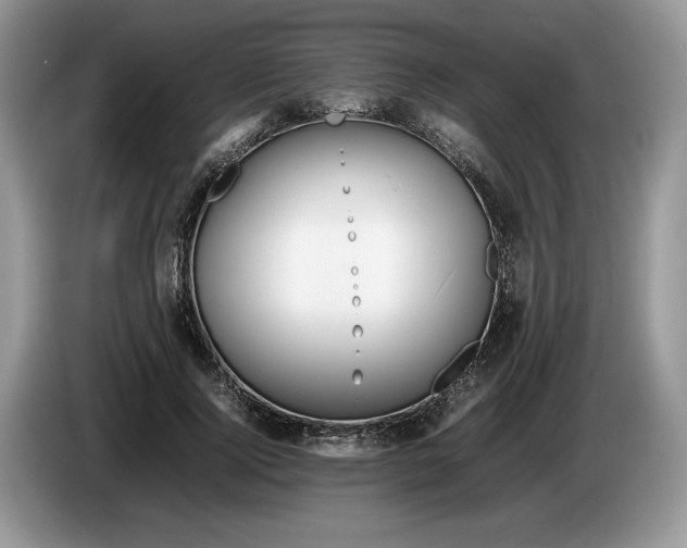 X0000086280740200704122047