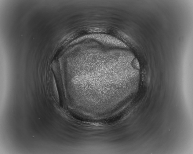 X0000086280741200704122047