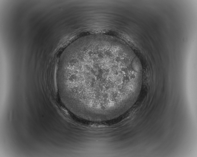 X0000086280742200704122047