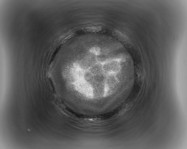 X0000086280745200704122047