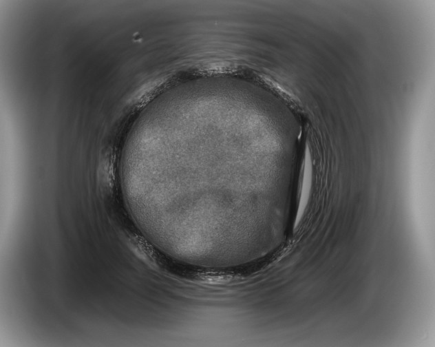 X0000086280746200704122047