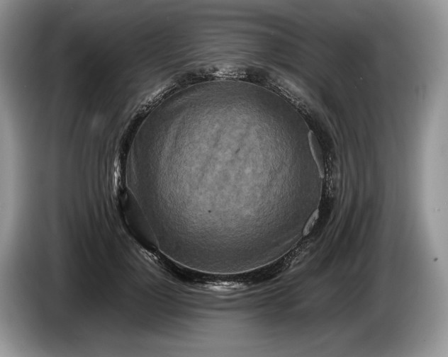 X0000086280748200704122047