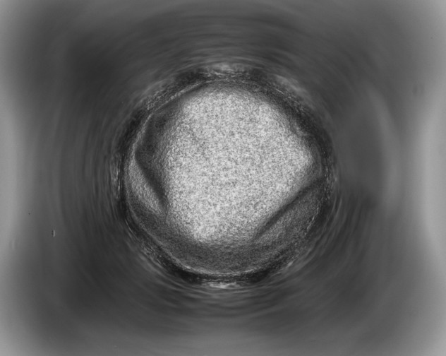 X0000086280749200704122047