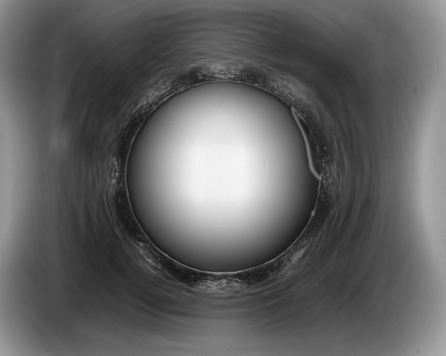 X0000086280752200704122047