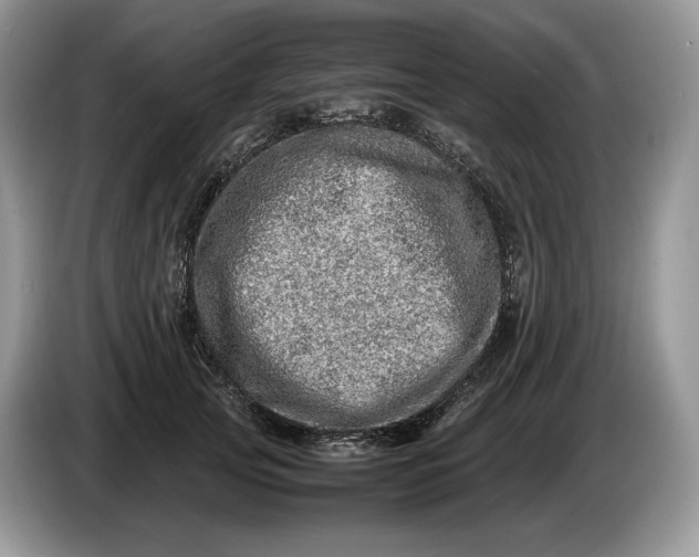 X0000086280753200704122047