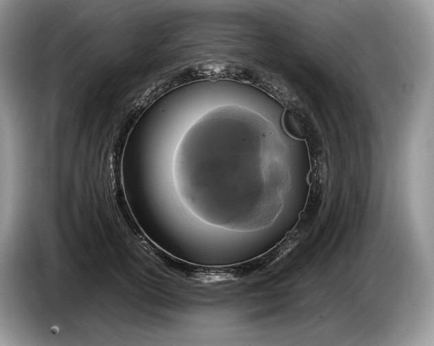 X0000086280754200704122047