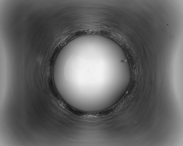 X0000086280756200704122047