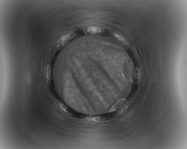 X0000086280760200704122047