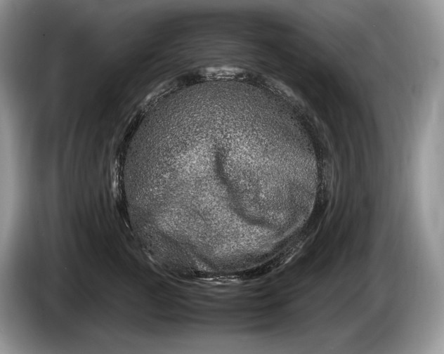 X0000086280761200704122047