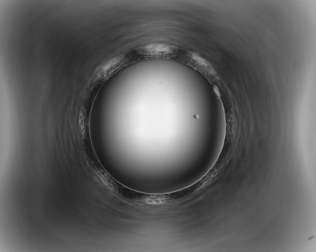 X0000086280762200704122047