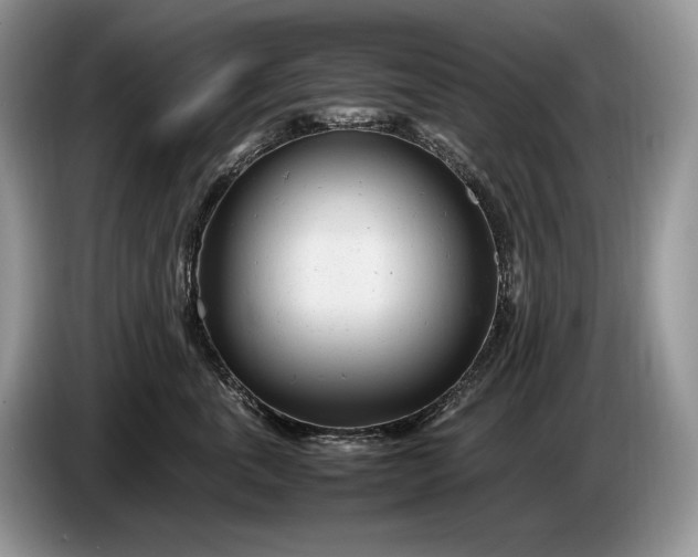 X0000086280763200704122047