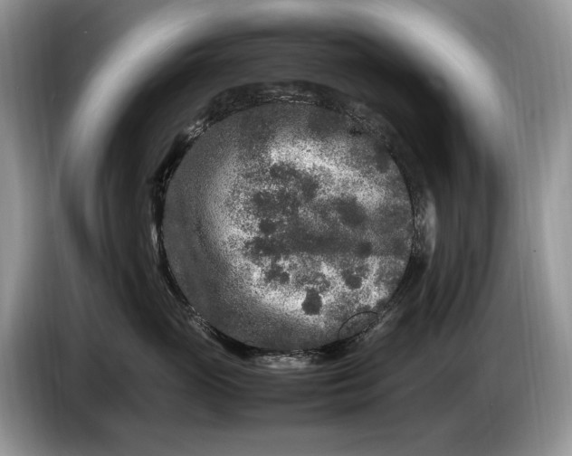 X0000086280765200704122047