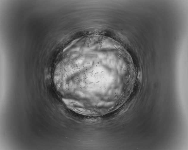 X0000086280771200704122046