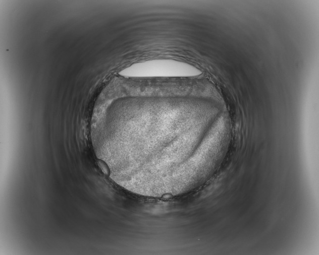 X0000086280772200704122046