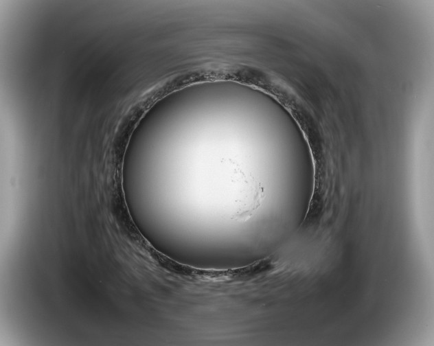 X0000086280773200704122046