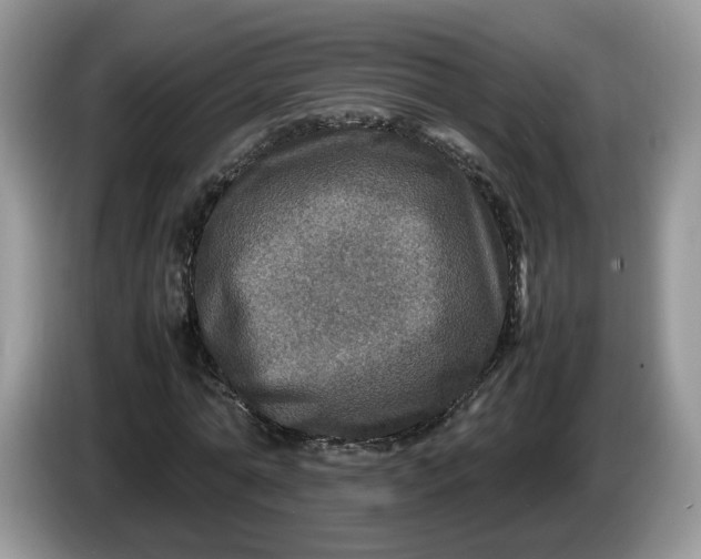 X0000086280774200704122046