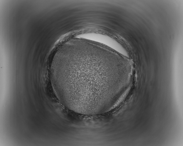 X0000086280776200704122046