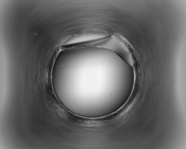 X0000086280777200704122046