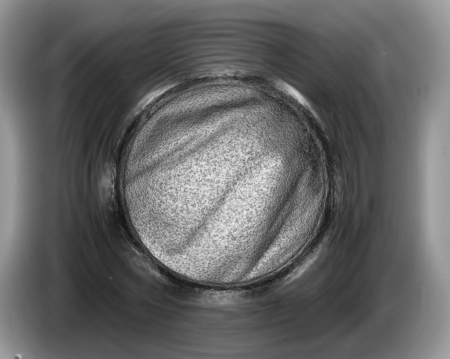 X0000086280778200704122046