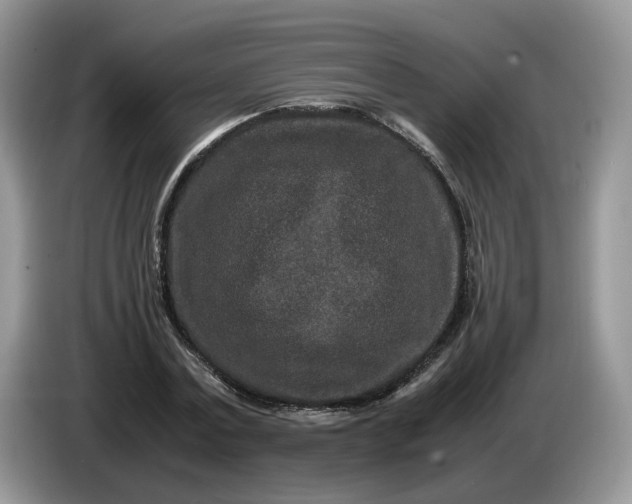 X0000086280779200704122046