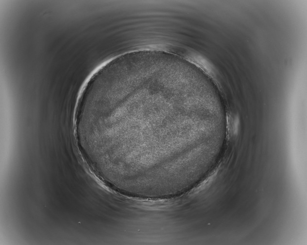 X0000086280780200704122046