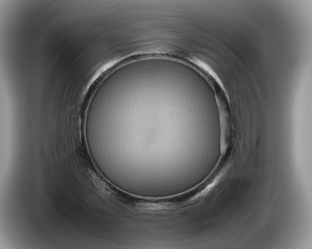 X0000086280781200704122046