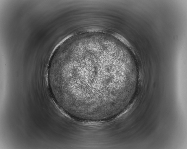 X0000086280782200704122046