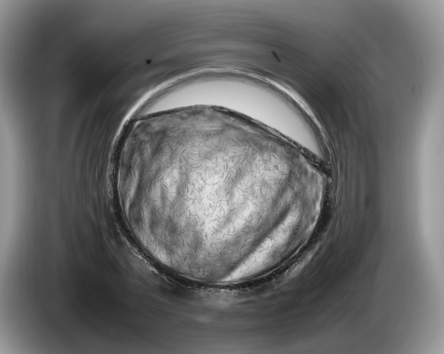 X0000086280783200704122046