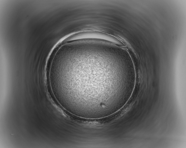 X0000086280784200704122046