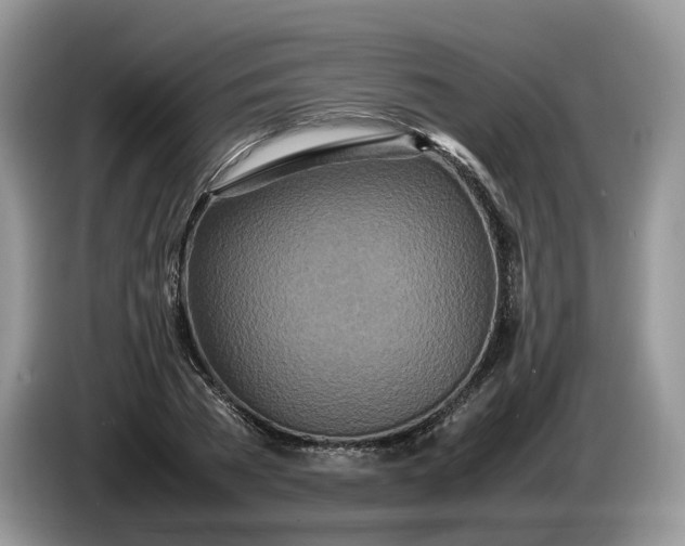 X0000086280785200704122046